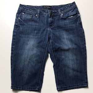 Earl Jean Shorts, blue size 3, 30Wx13L